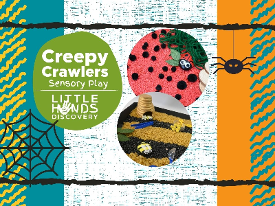 Creepy Crawlies Sensory Play (18 months-6 years)